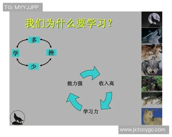 西安篮球队团队协作的深度解析与其他球队的对比研究
