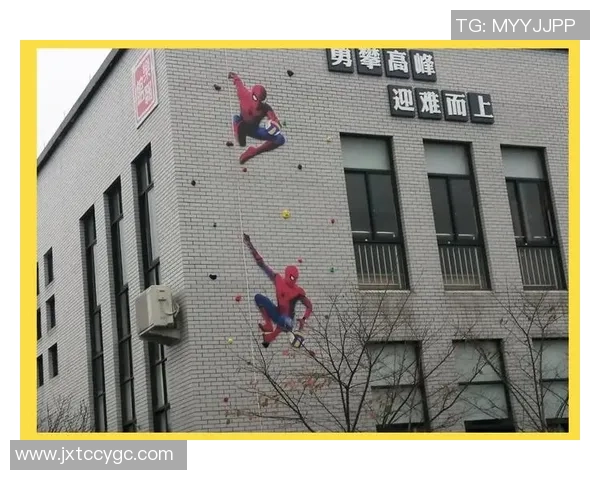 重庆攀岩队整体压制革新探索与实践的深度分析与未来展望 重庆攀岩队整体压制革新探索与实践的深度分析与未来展望